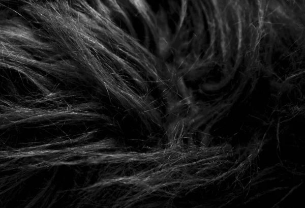 Μαύρο Μαλακό Φυσικό Ζώο Μαλλί Υφή Φόντο Μαλλιά Δέρματος Κοντινή — Φωτογραφία Αρχείου