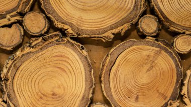 Kesik ağaç gövdesi çatlamış. Yıllık halka zeminli çapraz ağaç kesme, desenli dekoratif ahşap tahta.