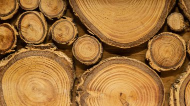 Kesik ağaç gövdesi çatlamış. Yıllık halka zeminli çapraz ağaç kesme, desenli dekoratif ahşap tahta.