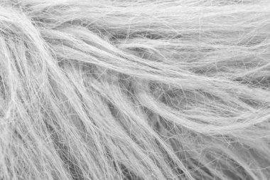 Gökyüzündeki bulutlar siyah ve beyaz bulutlar gökyüzünde siyah ve beyaz. Siyah arkaplanda bulutlar