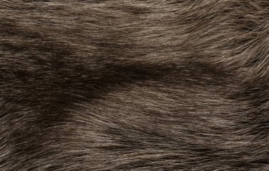 Doğal hayvan kürkü arkaplan dokusu. kahverengi yün yakın çekim