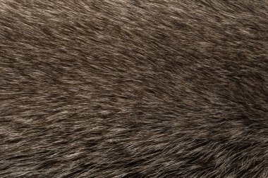 Doğal hayvan kürkü arkaplan dokusu. kahverengi yün yakın çekim
