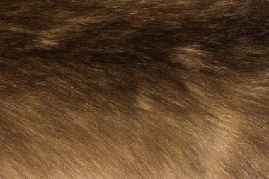 Doğal hayvan kürkü arkaplan dokusu. kahverengi yün yakın çekim