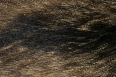 Doğal hayvan kürkü arkaplan dokusu. kahverengi yün yakın çekim