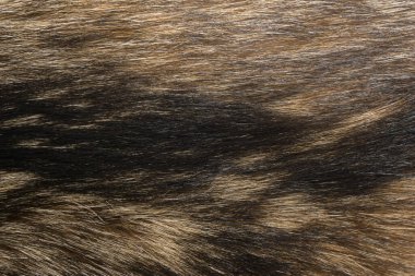 Doğal hayvan kürkü arkaplan dokusu. kahverengi yün yakın çekim