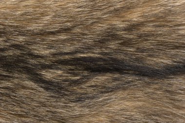 Doğal hayvan kürkü arkaplan dokusu. kahverengi yün yakın çekim