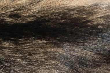 Doğal hayvan kürkü arkaplan dokusu. kahverengi yün yakın çekim