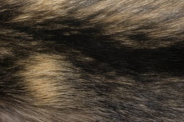 Doğal hayvan kürkü arkaplan dokusu. kahverengi yün yakın çekim