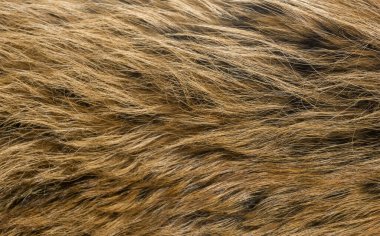 Doğal hayvan kürkü arkaplan dokusu. kahverengi yün yakın çekim