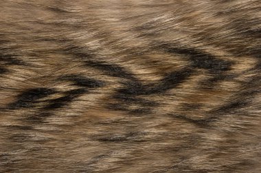 Doğal hayvan kürkü arkaplan dokusu. kahverengi yün yakın çekim