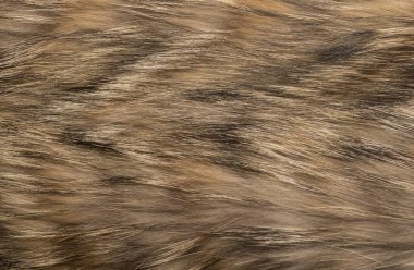 Doğal hayvan kürkü arkaplan dokusu. kahverengi yün yakın çekim