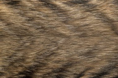 Doğal hayvan kürkü arkaplan dokusu. kahverengi yün yakın çekim