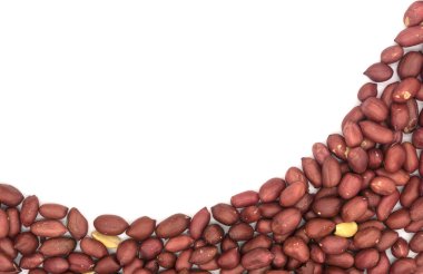 Beyaz arka planda kabukta yer fıstığı