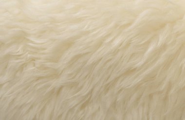 Beyaz hayvan yünü dokusu. Bej renkli doğal yün. Yumuşak tüylü kürkün yakın çekim dokusu