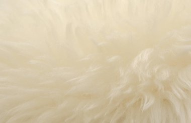 Beyaz hayvan yünü dokusu. Bej renkli doğal yün. Yumuşak tüylü kürkün yakın çekim dokusu