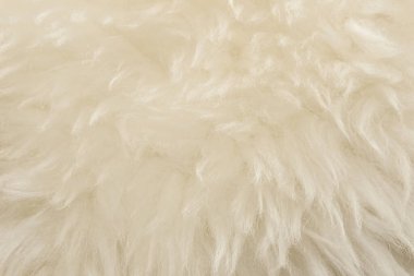 Beyaz hayvan yünü dokusu. Bej renkli doğal yün. Yumuşak tüylü kürkün yakın çekim dokusu