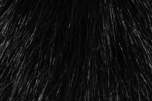 Fond Laine Animale Noire Blanche Laine Naturelle Grise Texture Gros — Photo