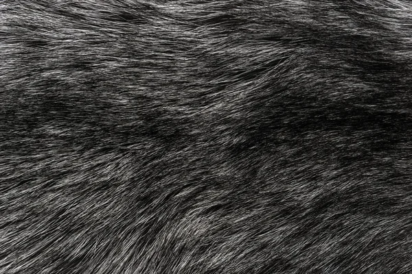 Black White Animal Wool Texture Background Grey Natural Wool Close — Fotografia de Stock