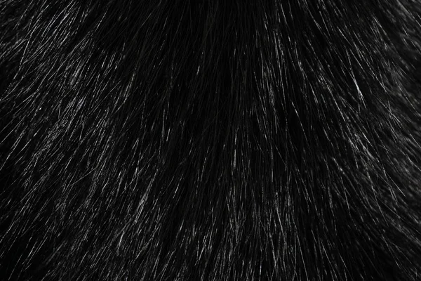 Czarno Biała Wełna Zwierzęca Tekstura Tła Szary Naturalna Wełna Zbliżenie — Zdjęcie stockowe