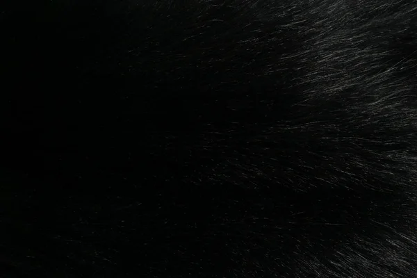 Μαύρο Και Άσπρο Δέρμα Ζώου Φόντο Υφή Γκρι Φυσικό Μαλλί — Φωτογραφία Αρχείου