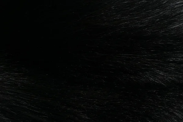 Черно Белая Шерсть Текстура Животного Фона Серая Натуральная Шерсть Крупным — стоковое фото
