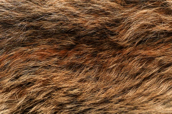 Textura Fundo Pele Animal Natural Marrom Close — Fotografia de Stock