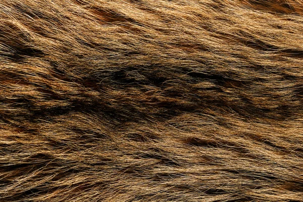 Textura Fundo Pele Animal Natural Marrom Close — Fotografia de Stock