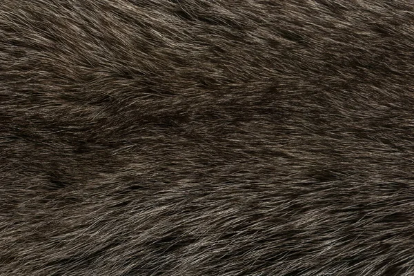 Natural Animal Fur Background Texture Brown Wool Close — Stock Photo, Image