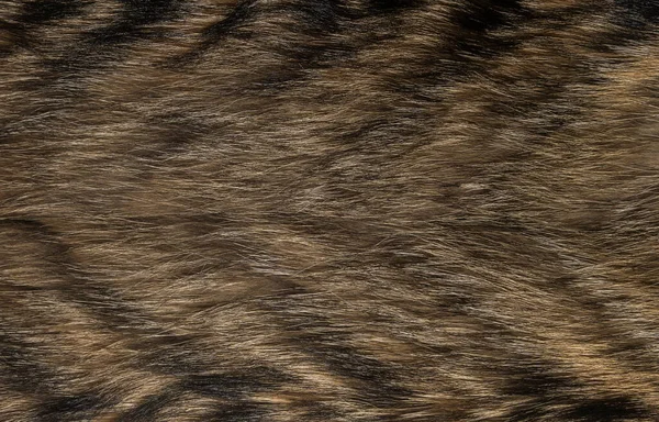 天然动物毛皮背景质感 棕色羊毛特写 — 图库照片