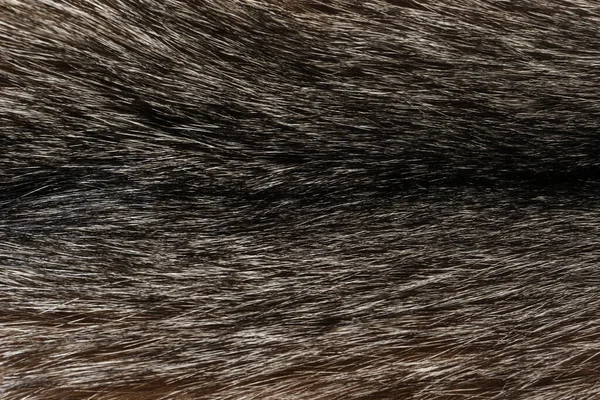 Naturalne Futro Zwierzęce Tło Tekstury Brązowa Wełna Zbliżenie — Zdjęcie stockowe
