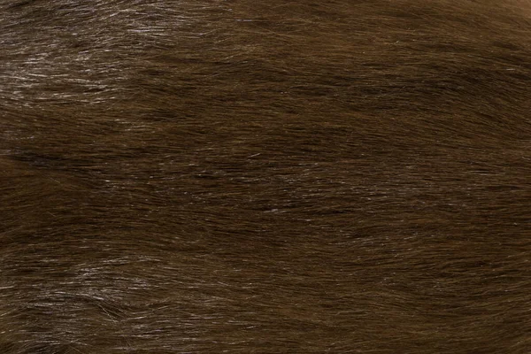 Φυσική Γούνα Ζώου Υφή Φόντου Καφέ Μαλλί Close — Φωτογραφία Αρχείου