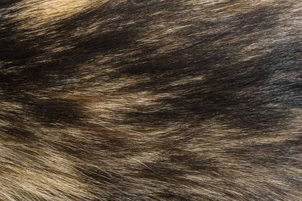 Természetes Állati Szőrme Háttér Textúra Barna Gyapjú Közelkép — Stock Fotó