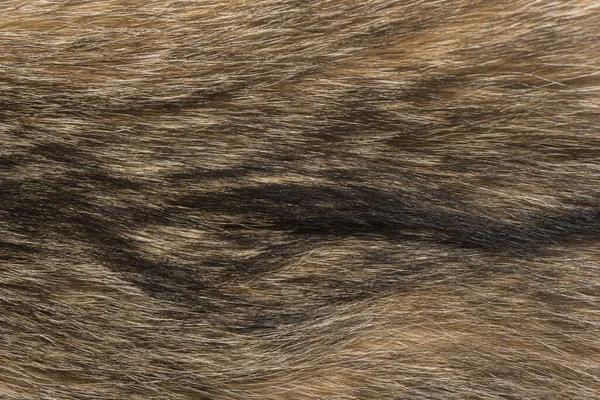 Doğal hayvan kürkü arkaplan dokusu. kahverengi yün yakın çekim