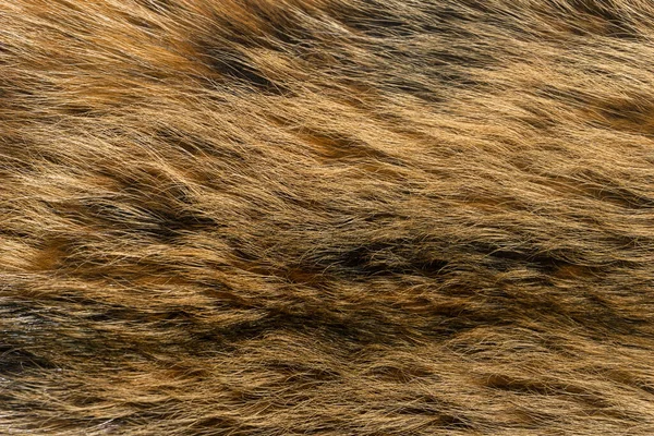 Φυσική Γούνα Ζώου Υφή Φόντου Καφέ Μαλλί Close — Φωτογραφία Αρχείου