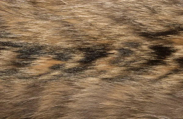 Natuurlijke Dierlijke Bont Achtergrond Textuur Bruine Wol Close — Stockfoto