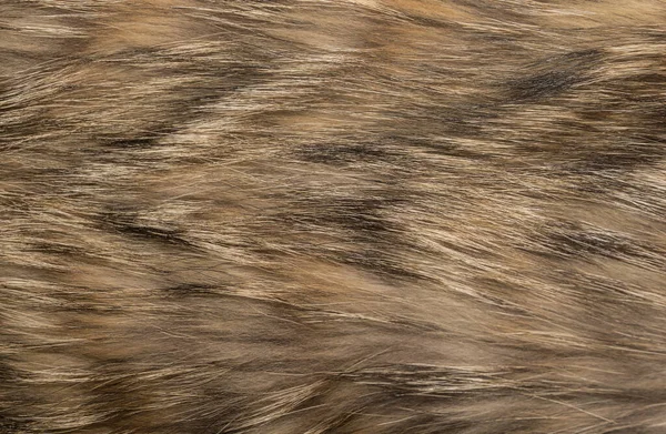 Doğal hayvan kürkü arkaplan dokusu. kahverengi yün yakın çekim