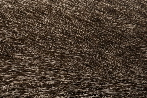 Pelo Animale Naturale Sfondo Texture Lana Marrone Primo Piano — Foto Stock