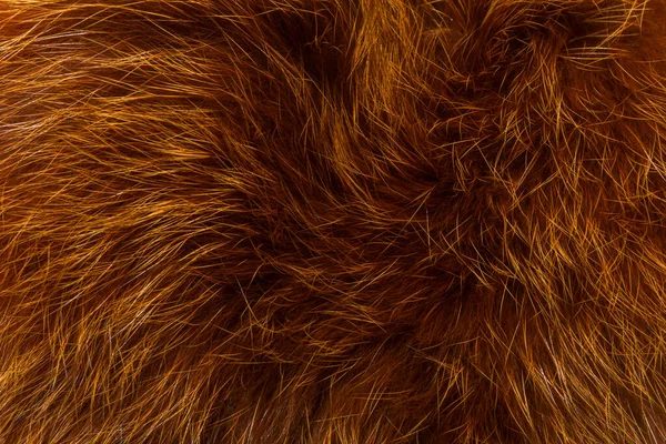 Textura Fundo Pele Animal Natural Marrom Close — Fotografia de Stock