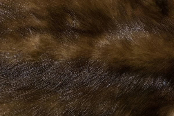 天然の動物性毛皮の背景テクスチャ 茶色のウールのクローズアップ — ストック写真