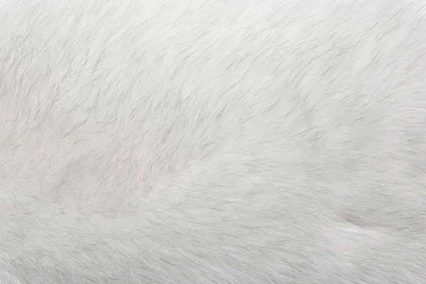 天然の動物性毛皮の背景テクスチャ 白北極キツネ毛糸のクローズアップ — ストック写真