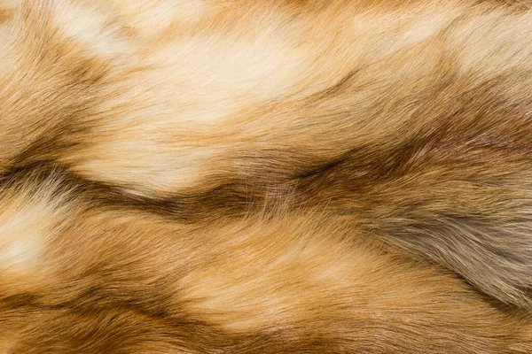 Natuurlijke Dierlijke Bont Achtergrond Textuur Gele Vossenwol Close — Stockfoto