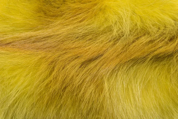 Φυσική Γούνα Ζώου Υφή Φόντου Κίτρινο Μαλλί Αλεπού Close — Φωτογραφία Αρχείου