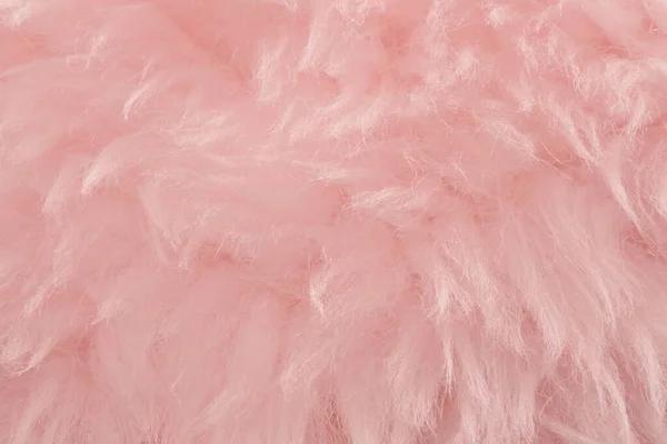 Pink animal wool texture background. Rosy tint natural wool. Close-up texture of  plush fluffy fur