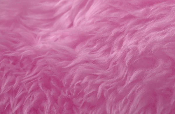 Ροζ Δέρμα Ζώου Φόντο Υφή Ρόδινη Απόχρωση Φυσικού Μαλλιού Κοντινή — Φωτογραφία Αρχείου