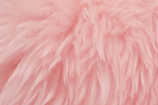 粉色动物毛织品背景 玫瑰色天然羊毛 毛绒绒毛绒绒的特写纹理 — 图库照片