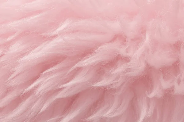 Pink animal wool texture background. Rosy tint natural wool. Close-up texture of  plush fluffy fur