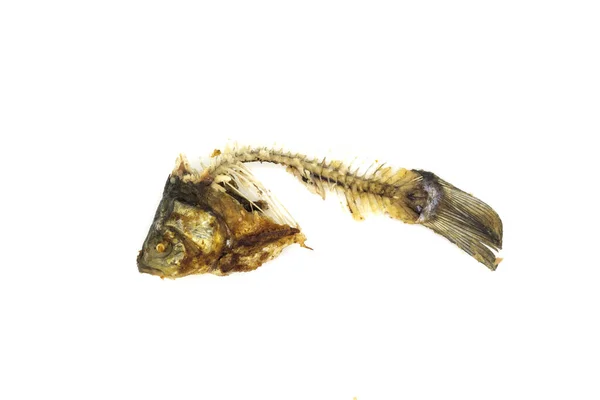 Reste Von Gebratenem Fisch Auf Weißem Hintergrund — Stockfoto