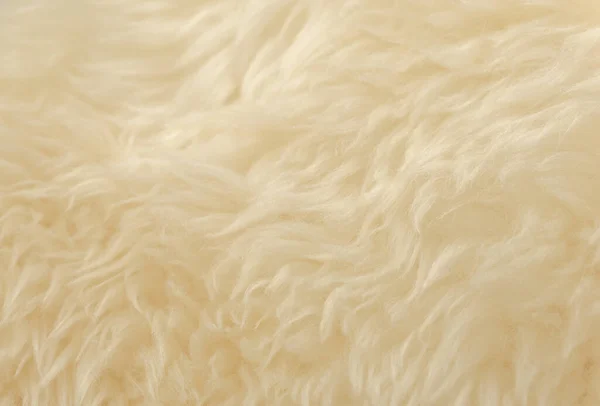 Bianco Animale Lana Texture Sfondo Lana Naturale Color Beige Struttura — Foto Stock