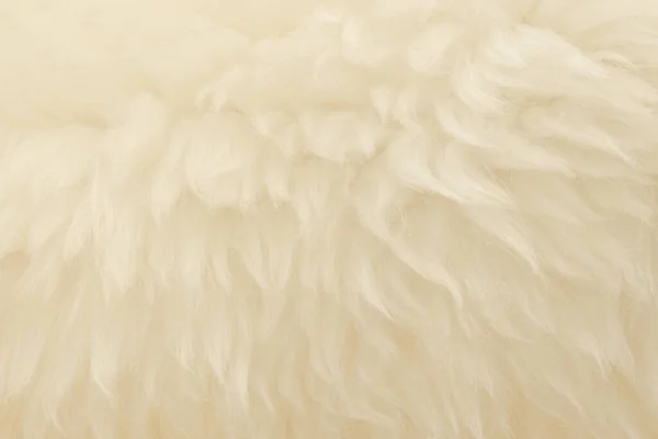 Λευκό Δέρμα Ζώου Φόντο Υφή Μπεζ Απόχρωση Φυσικό Μαλλί Κοντινή — Φωτογραφία Αρχείου