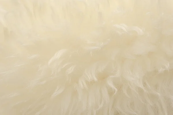 Fundo Textura Animal Branco Tintura Bege Natural Textura Close Pelúcia — Fotografia de Stock